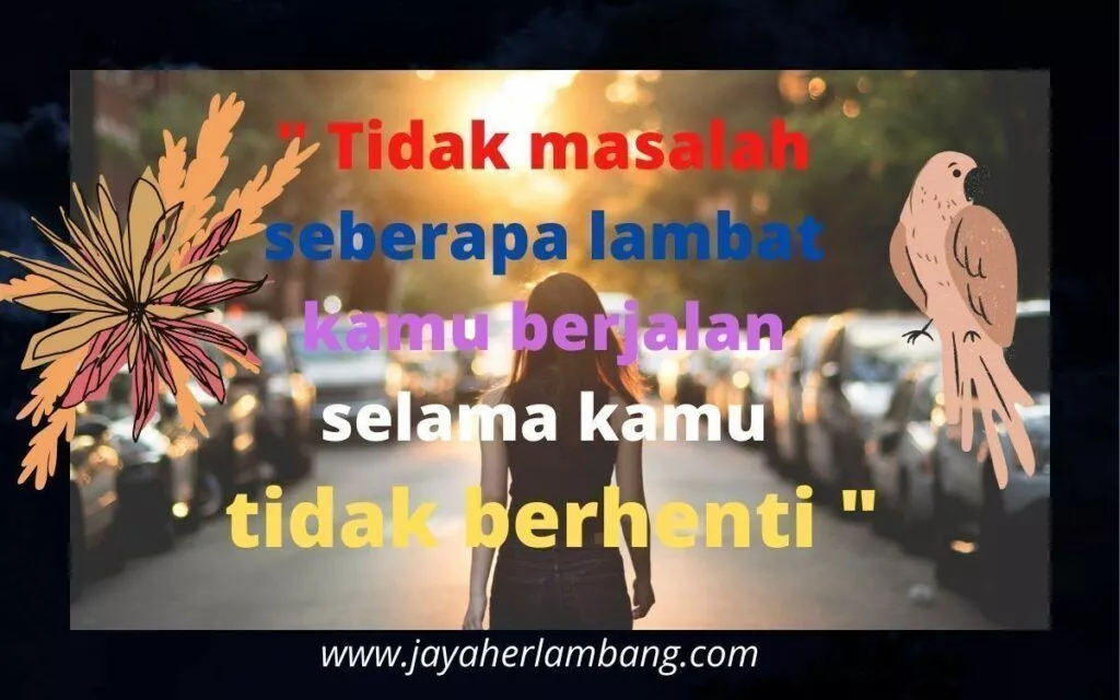 story wa lucu story wa lucu
