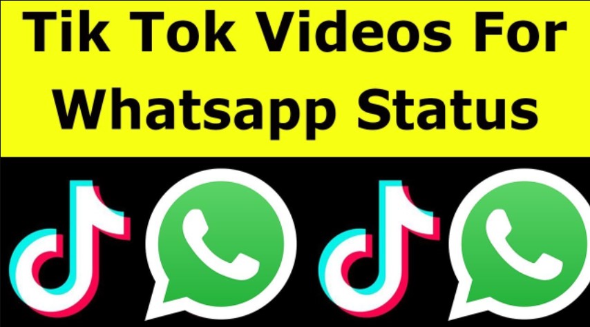 Cara Download Video Tiktok Whatsapp