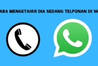 Cara mengetahui dia sedang telponan di wa