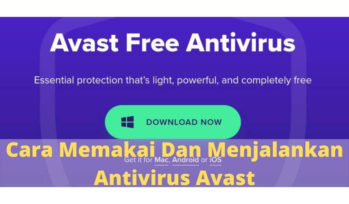 Cara Memakai Antivirus Avast Cara Memakai Antivirus Avast